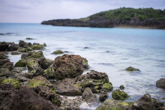 10 yakuza members arrested for stealing sea cucumbers from ocean